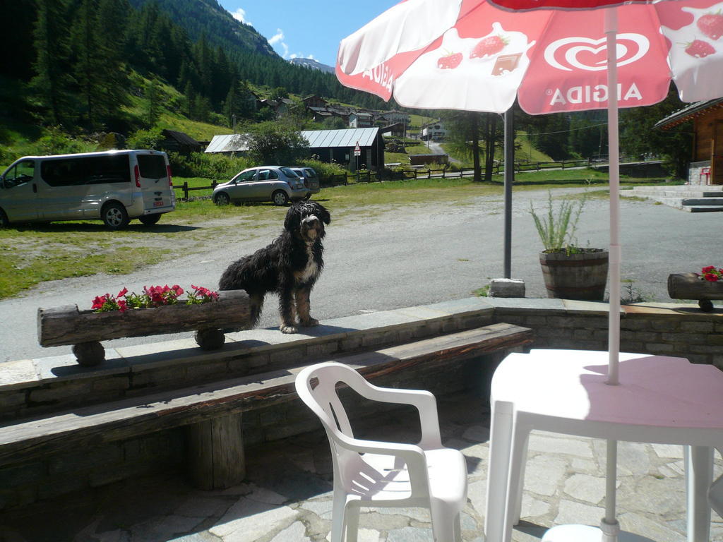 Hotel Camping Grivola Valsavarenche Zewnętrze zdjęcie